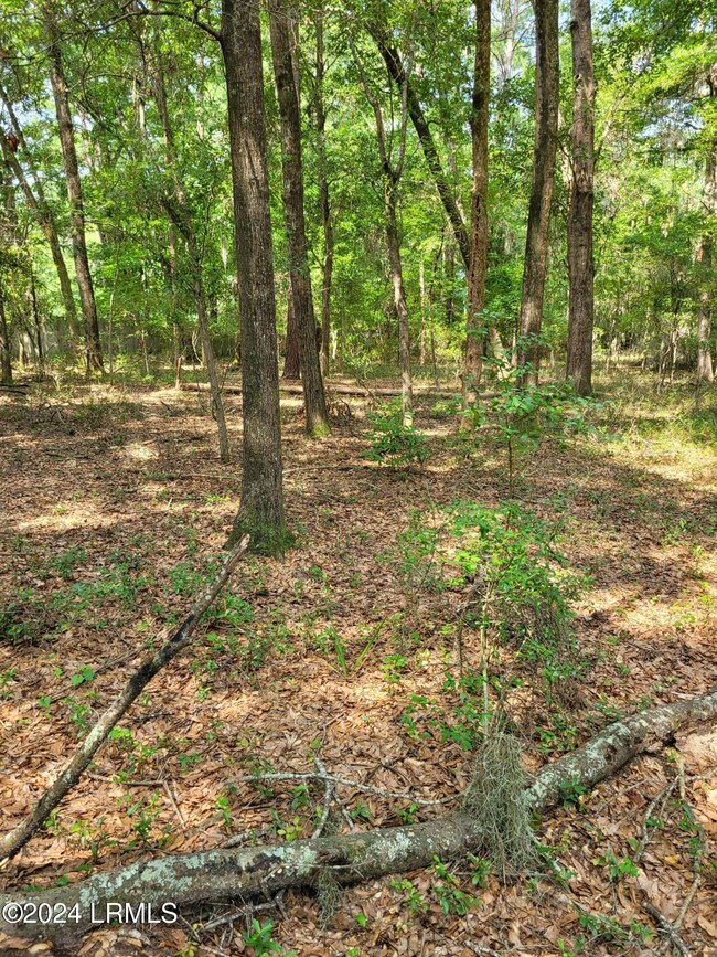 Oakwood Lot 27
