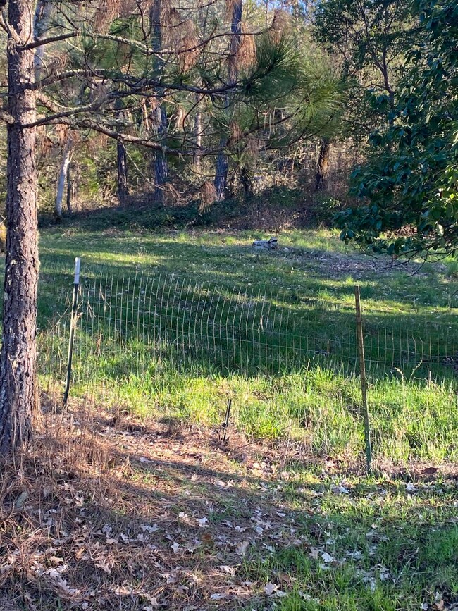 845 Hyde Park Rd, Grants Pass, OR 97527 - photo 5