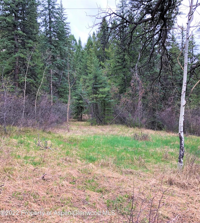 TBD Firehouse Rd, Redstone, CO 81623 - photo 3