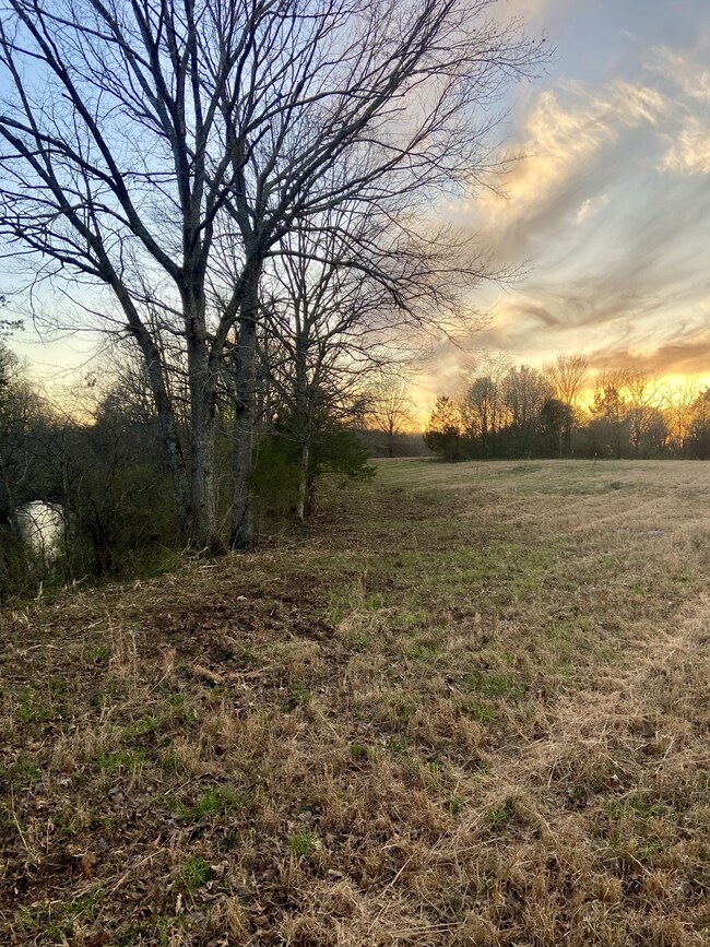 2525 Verona Caney Rd, Lewisburg, TN 37091 - photo 5