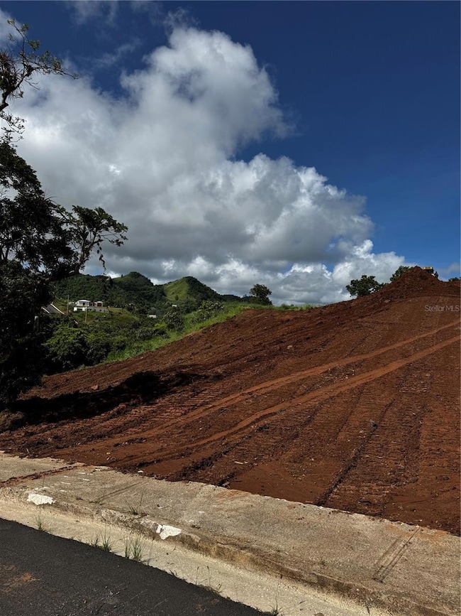 0 Carr 155 Km 31 2 Int Bo Barros unit Lote 1, Orocovis, PR 00720 - photo 3