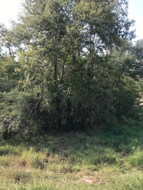 0 Leperchaun Ln, Brazoria, TX 77422 - photo 2