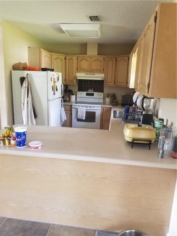 101 Fawn Ln, Blackshear, GA 31516 - photo 6