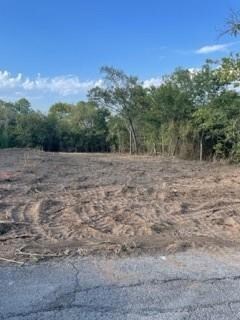 711 W Parnell St, Denison, TX 75020 - photo 4