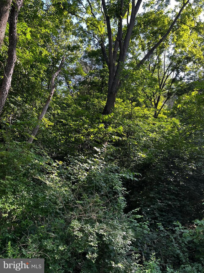 0 Pine Crest Rd, McClure, PA 17841 - photo 3