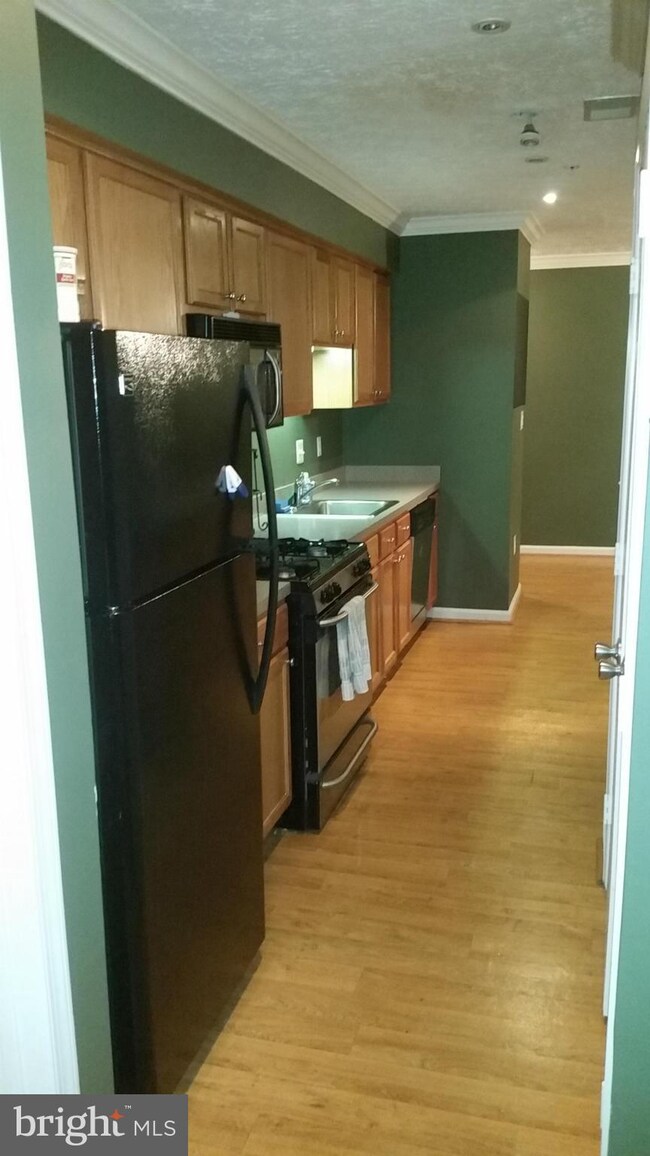 3700 Excalibur Ct unit 103, Bowie, MD 20716 - photo 3