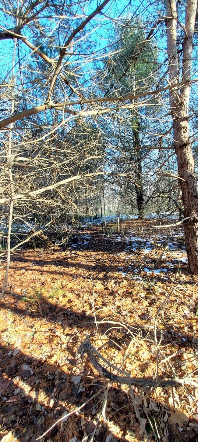 Land View