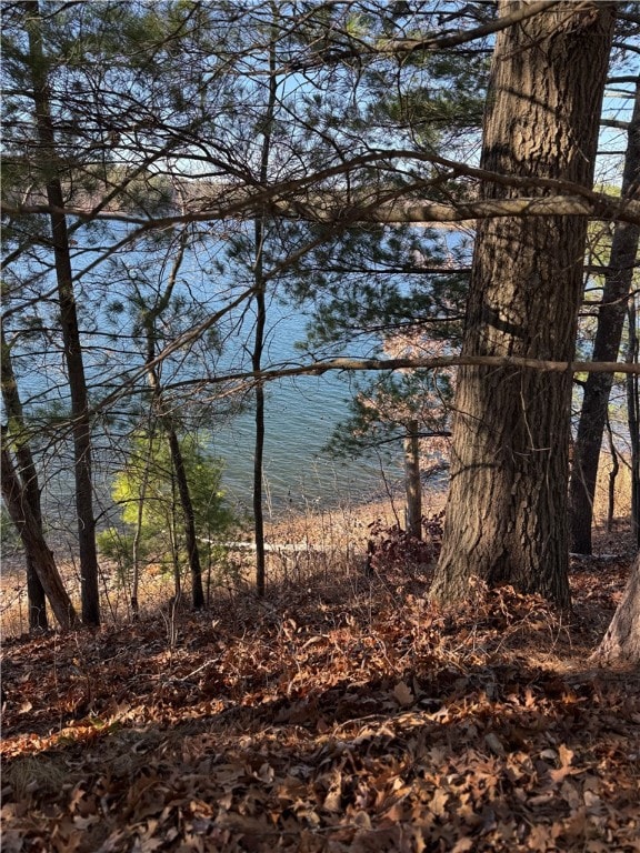 Lot 1 Hwy 70, Stone Lake Township, WI 54876 - photo 3