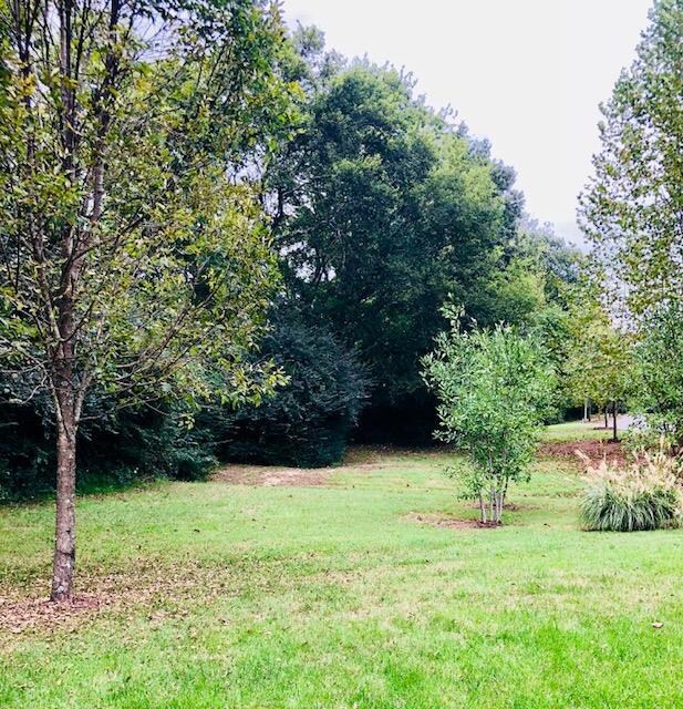 Adjacent to green space