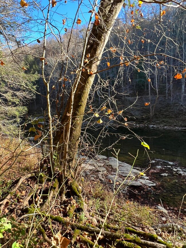 1844 Meece Rd, Somerset, KY 42501 - photo 4