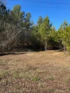 63.74 Acre Chestnut Valley Rd, Vonore, TN 37885 - photo 4