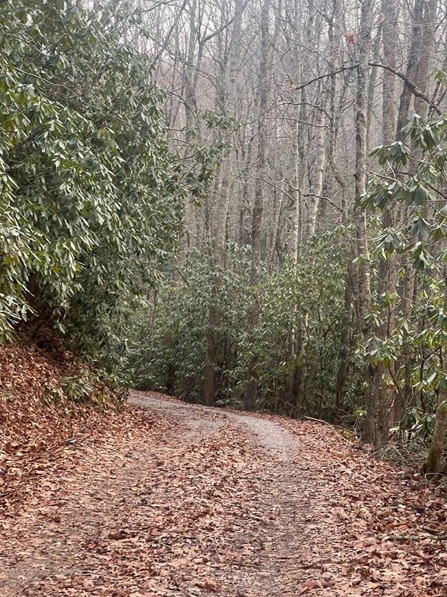 Road just past Gate