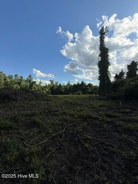 1805 Front St, Burgaw, NC 28425 - photo 5