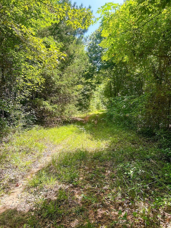 855 Hempstead 56, Hope, AR 71801 - photo 4