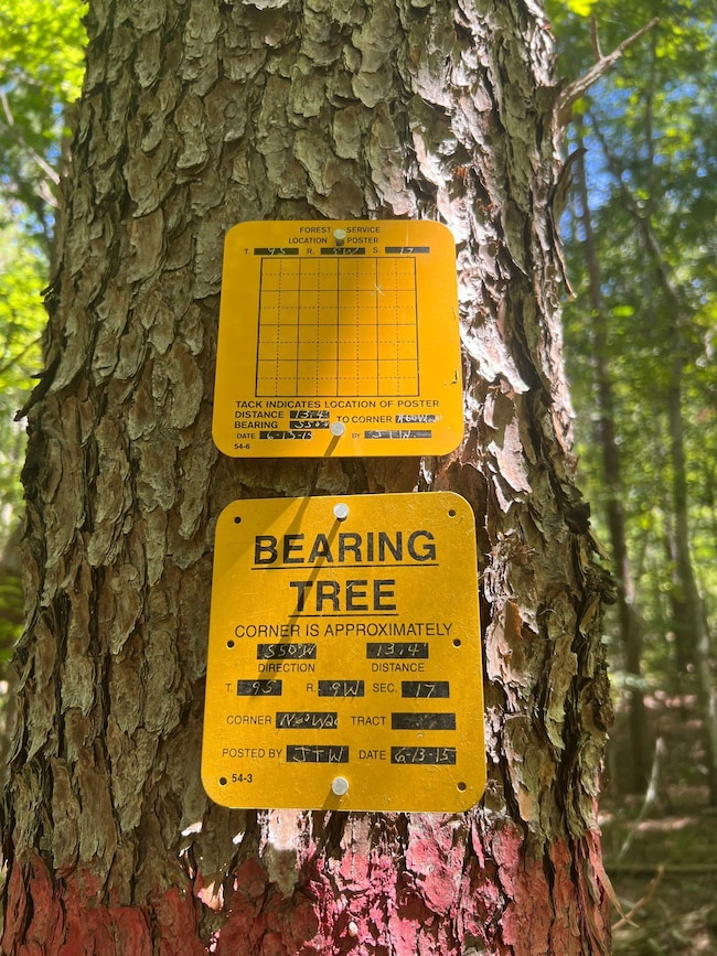 Crockett Rd, Haleyville, AL 35565 - photo 2