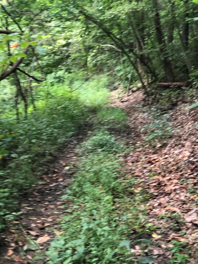 48933311-DC30-4971-B8DD-A76865582DF4