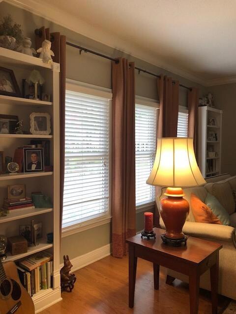 Living room/built-ins