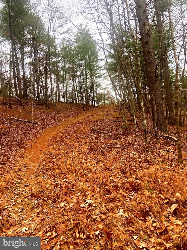 0 Spitz Ln unit VASH2013020, Basye, VA 22810 - photo 2