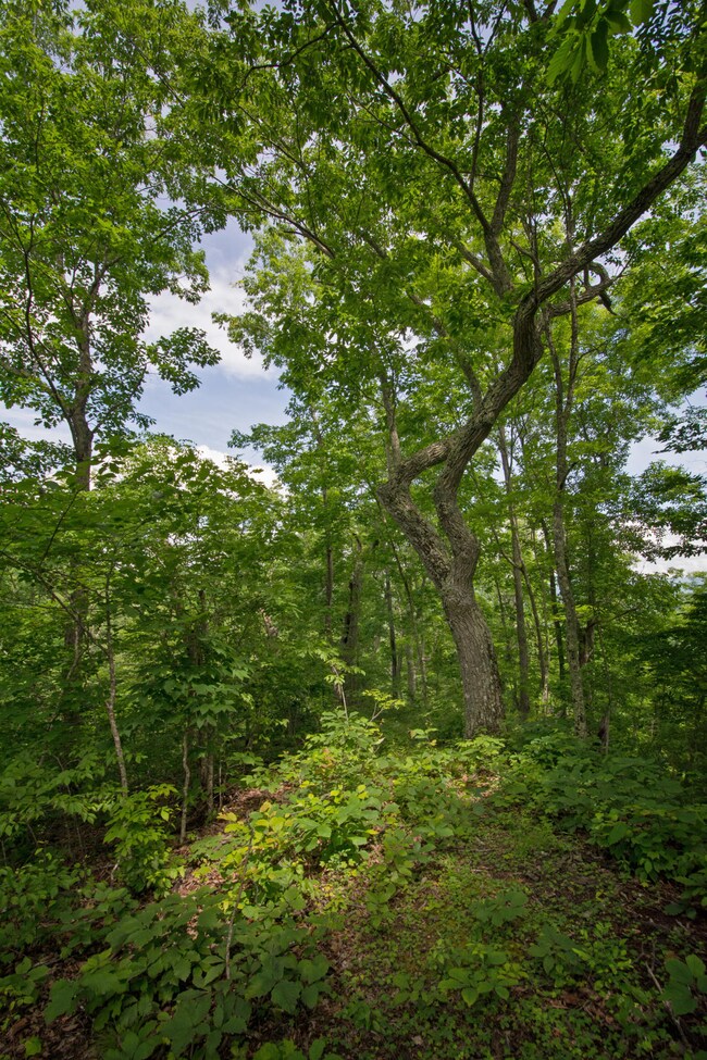 RBRR 528_0456