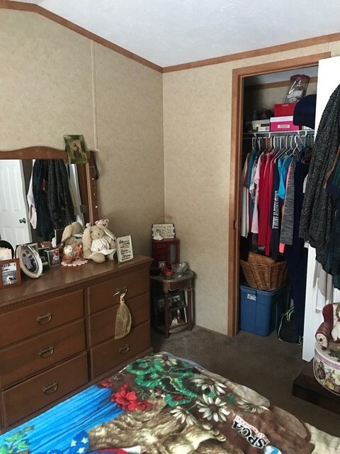 17 Welch Dr, Plymouth, NH 03264 - photo 5