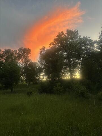 15370 Mallard Rd, Mission Creek Township, MN 55007 - photo 6