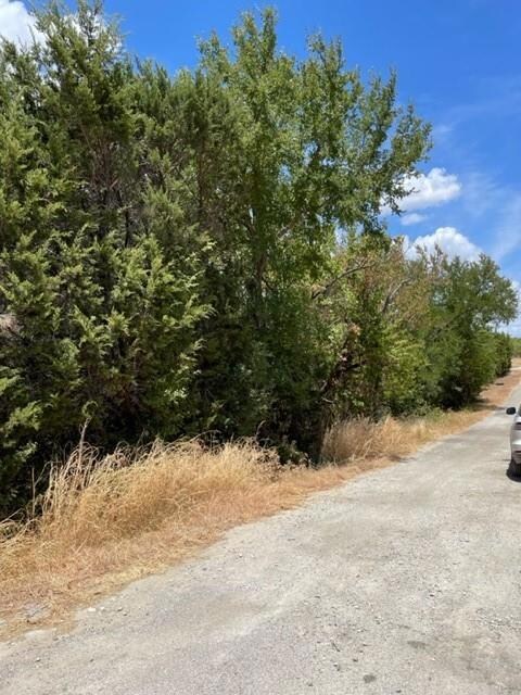 Tract 81 and 92 Bronco Ln, Weatherford, TX 76087 - photo 3