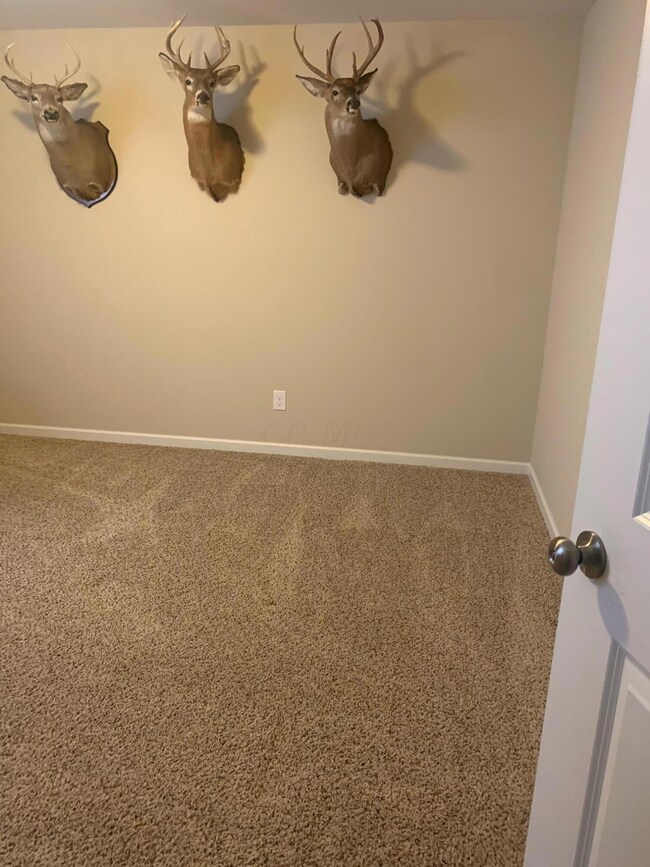 image1 (2)