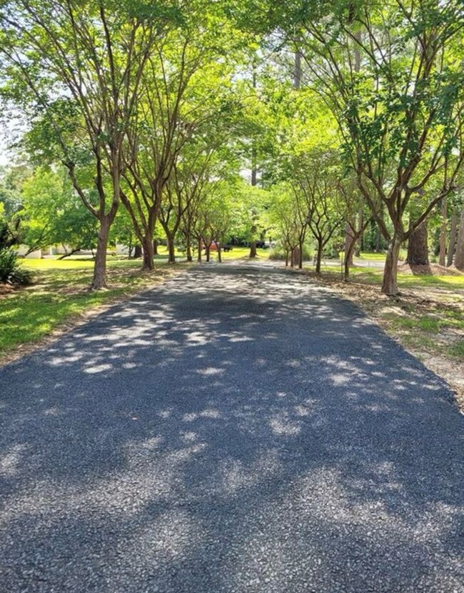 118 Benjamin Ave, Alma, GA 31510 - photo 2