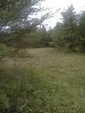 vacant 10 acres