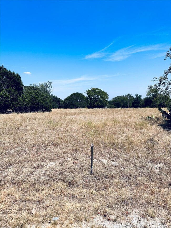 19014 Bluebonnet Dr, Whitney, TX 76692 - photo 2