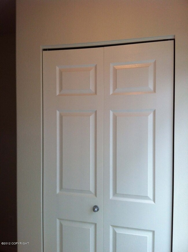 entrance  closet door