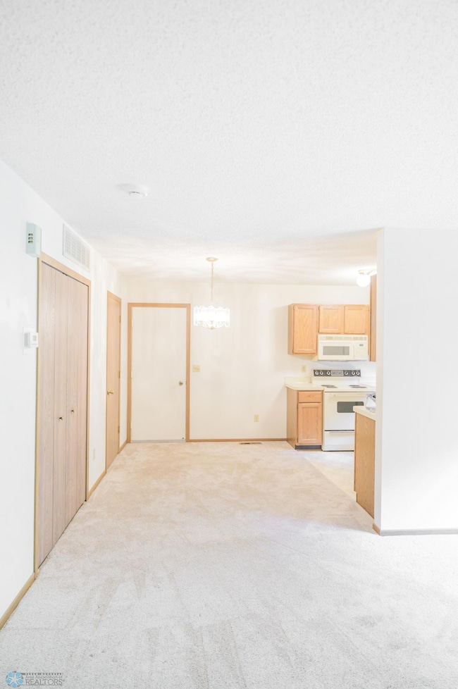 FeeneytownhomeCoonRapidsDSC_0763_1.jpg