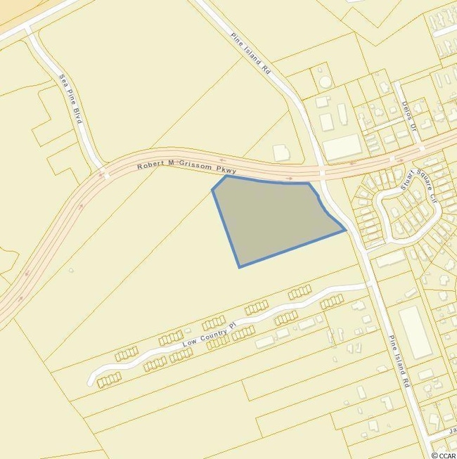 TBD Pine Island Rd, Myrtle Beach, SC 29577 - photo 3