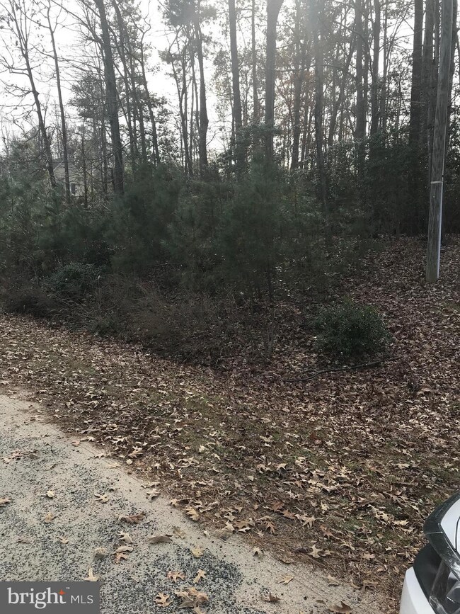 0 Matilda Ln, Montross, VA 22520 - photo 4