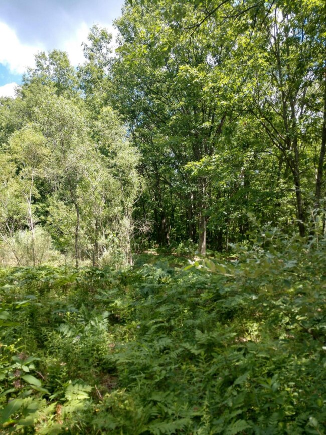 IMG_20200716_135523599_HDR