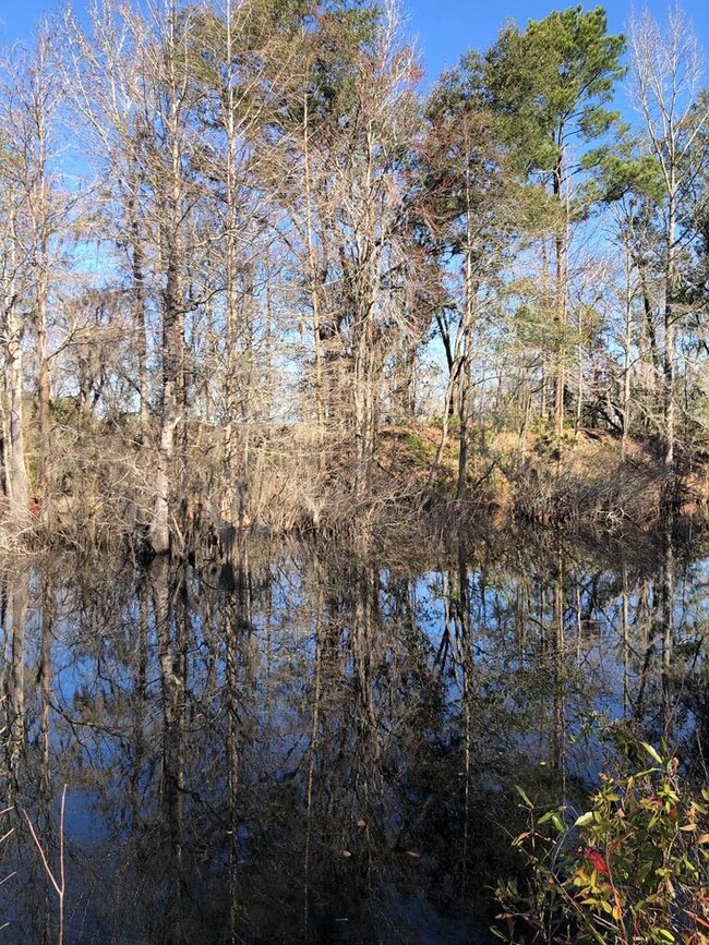 4217 Val Del Rd, Adel, GA 31620 - photo 4