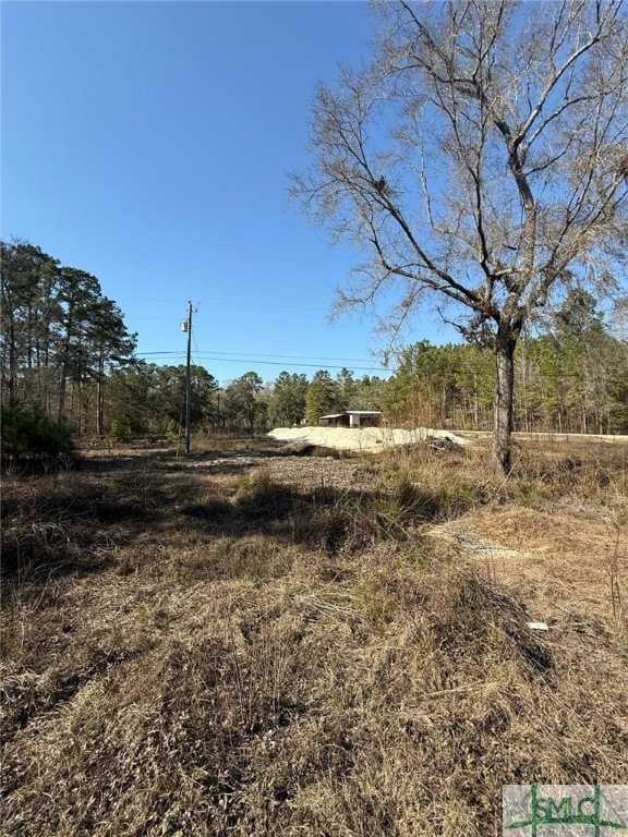 145 Middle Landing Rd, Bloomingdale, GA 31302 - photo 2