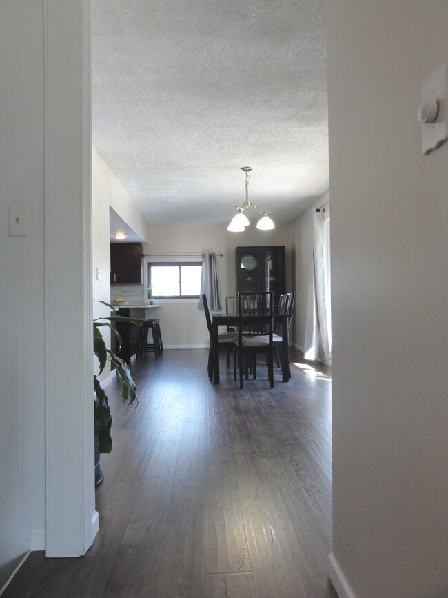 Dining/Living Room