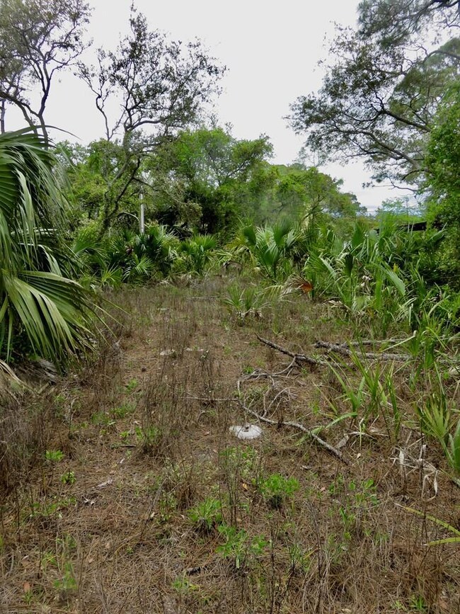 Previously cleared area