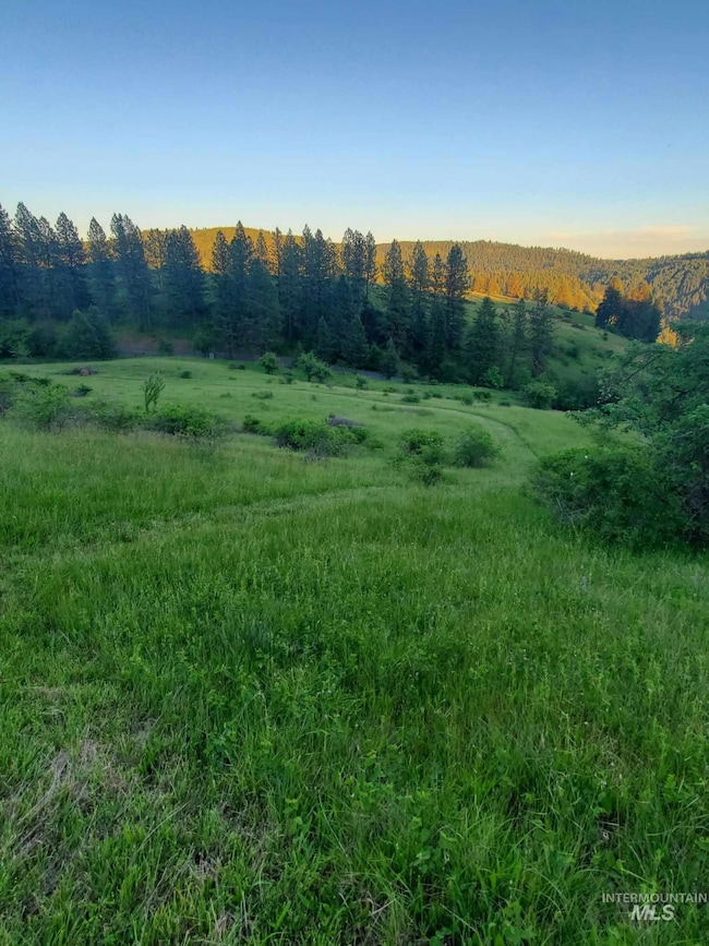TBD Harmony Heights Loop, Orofino, ID 83544 - photo 6