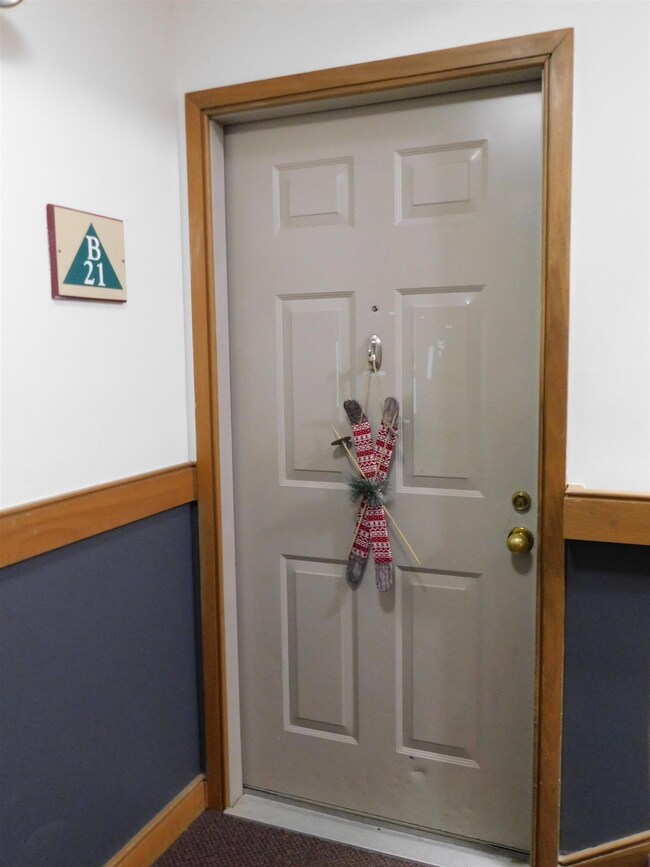 4E Northbrook Village Rd unit B21, Dover, VT 05356 - photo 6