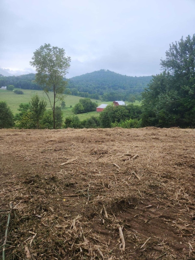 0 Hix Rd unit RTC2964419, Gordonsville, TN 38563 - photo 7