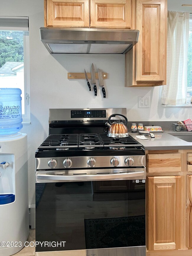 1008 Wilshire Ave, Anchorage, AK 99503 - photo 3