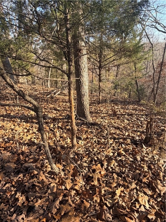 20.2 Acres Hobbs Rd, Noel, MO 64854 - photo 7