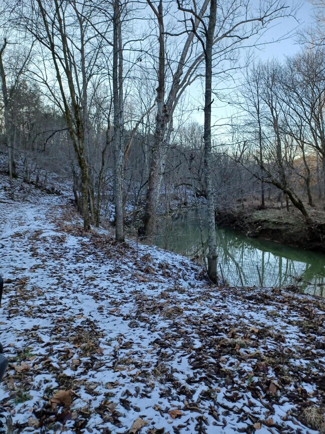 4699 Talmage Mayo Rd, Harrodsburg, KY 40330 - photo 3