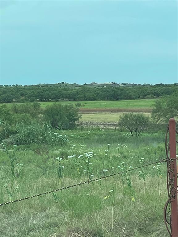 100 Tobiano Trace, Brock, TX 76087 - photo 2