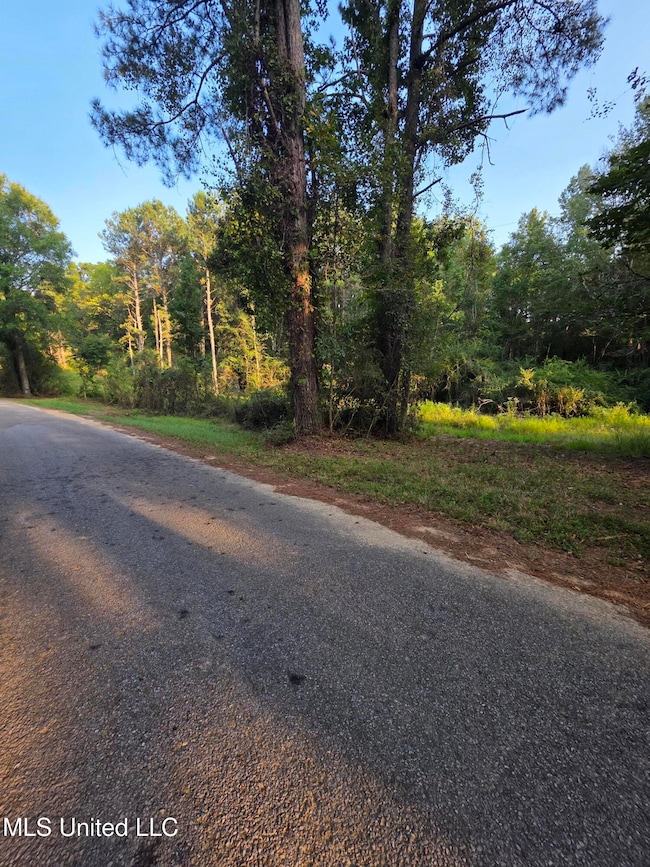 0 County Road 155 unit 4126041, Stringer, MS 39481 - photo 2