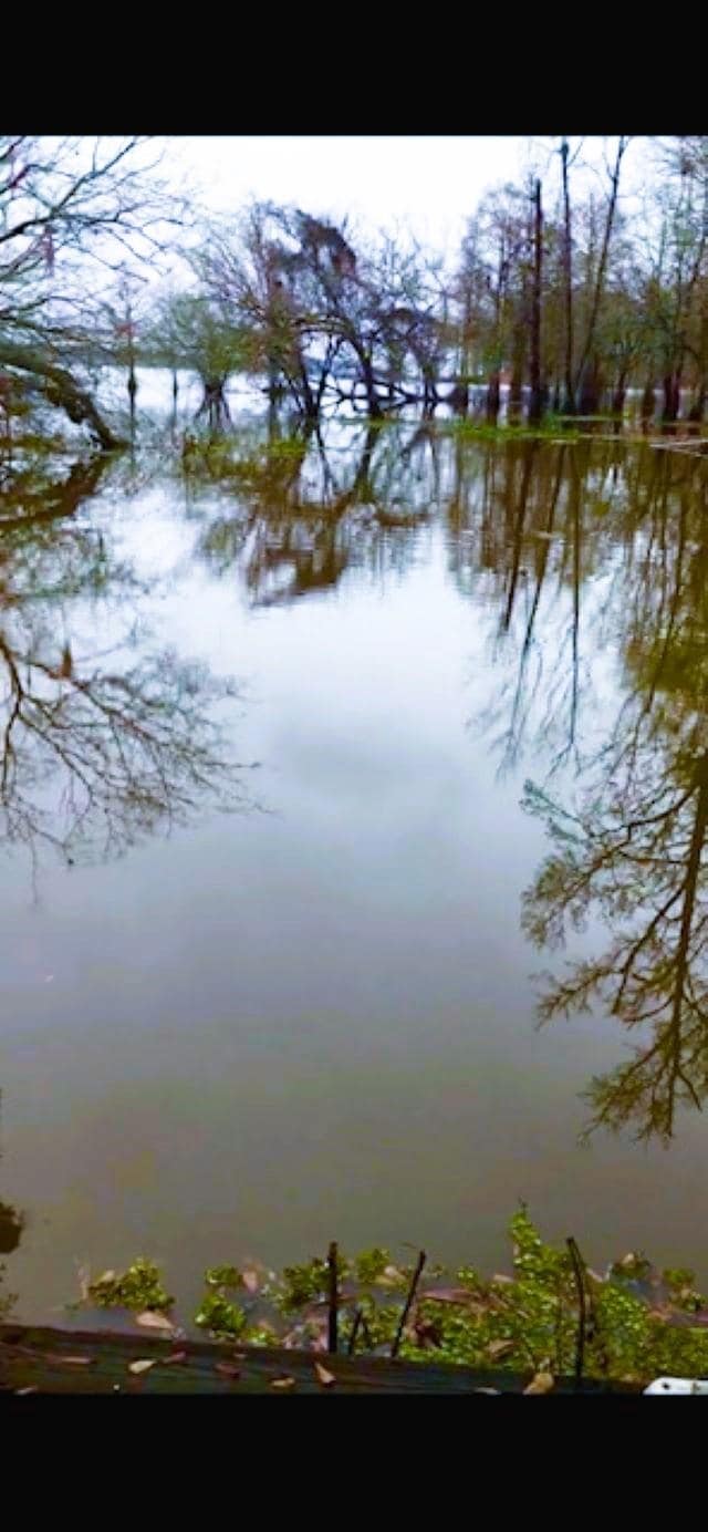 2102 Gateway Meadows, Hemphill, TX 75948 - photo 6