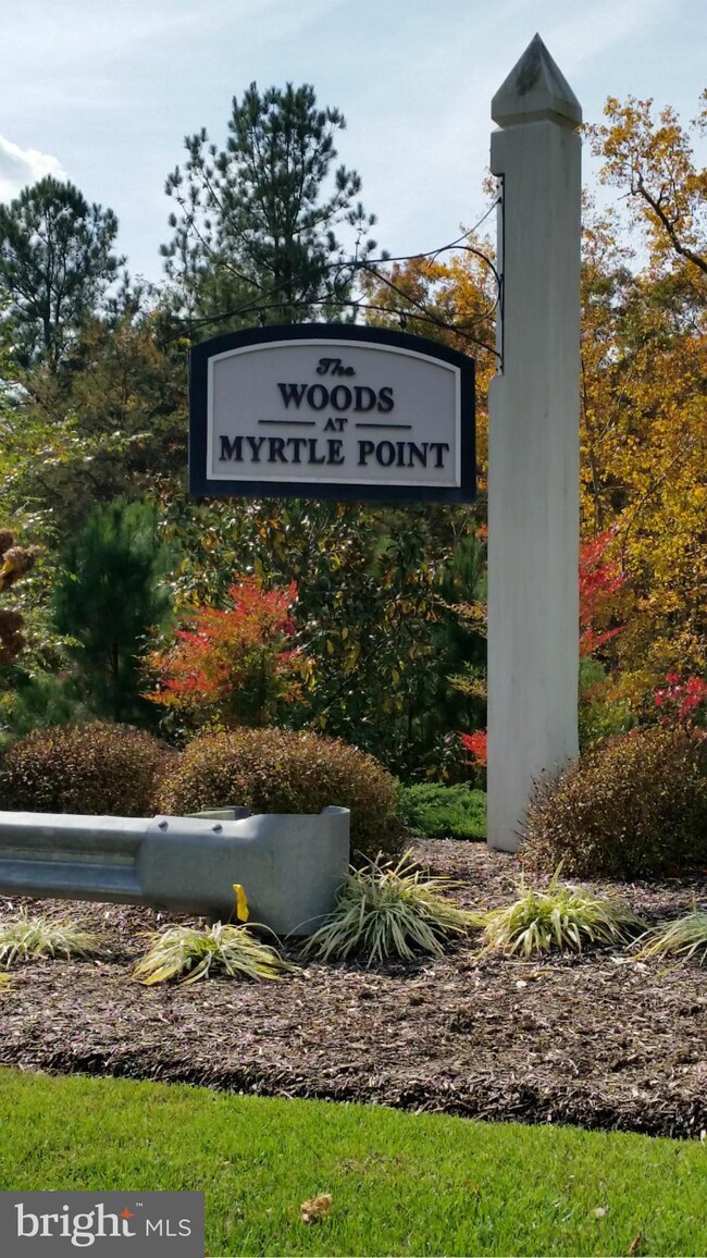 45202 Woodhaven Dr, California, MD 20619 - photo 7