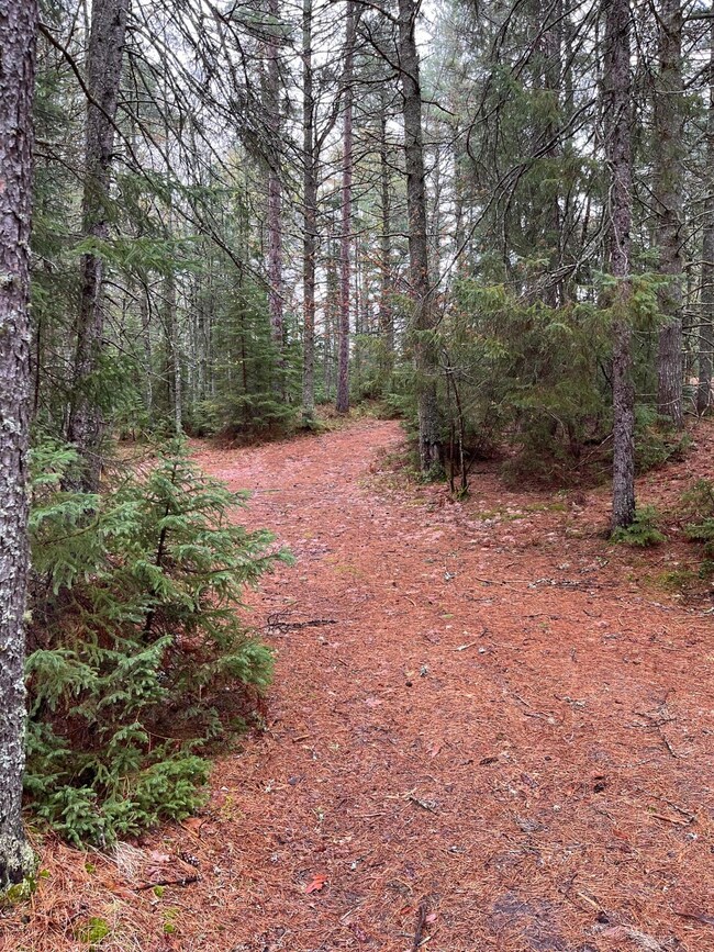 Parking Area